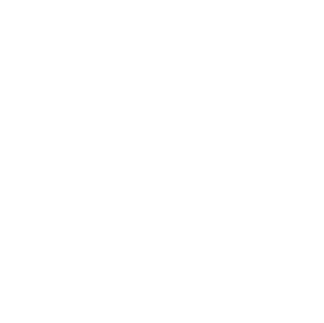 Velon Logo